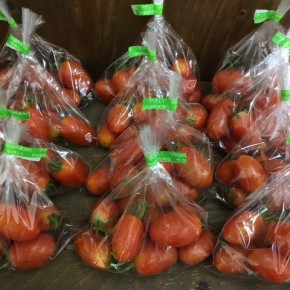 6/30(fri)本日の仕入れです。   うるま市 玉城勉さんの自然栽培のミニトマト、が入荷しました！