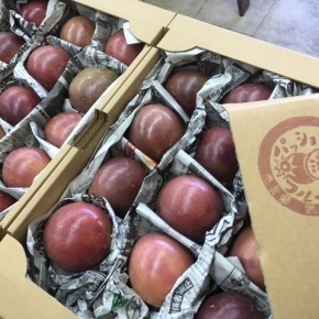 国頭で無農薬無肥料のイチゴを栽培している森岡さんが、この夏はパッションフルーツ栽培に挑戦！たくさん実ったとのことで、わが家のハルラボ商店にも分けて頂きました。箱を開けたとたんに広がるトロピカルな香り！味も最高です‼︎