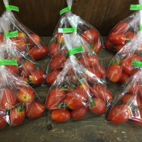 7/3(mon)本日の仕入れです。  うるま市 玉城勉さんの自然栽培のミニトマト、が入荷しました！