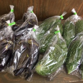 7/24(mon)本日の仕入れです。  うるま市 玉城勉さんの自然栽培のナス・ゴーヤー、が入荷しました！