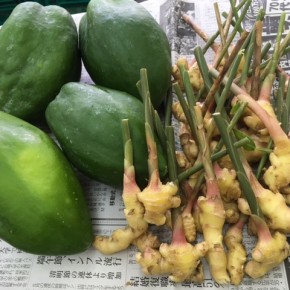 8/16(wed)の入荷です。  本部町 坂田さんから自然栽培の新生姜とパパイヤが入荷しました。柔らかい新生姜は、甘酢漬けや生姜ご飯に向いています。
