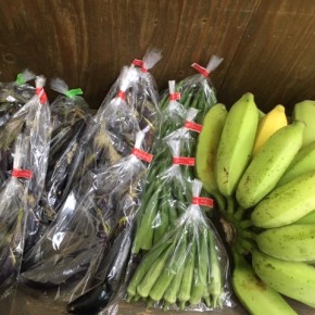 9/1(fri)本日の仕入れです。  うるま市 玉城勉さんの自然栽培のナス・丸オクラ・ブラジル島バナナ、が入荷しました！