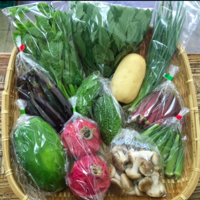 【第56回目】わが家のハルラボ商店『お野菜おまかせBOX』は先週土曜日に発送いたしました。今回の内容は自然栽培の丸オクラ・なす・パパイヤ・ゴーヤー・れんこん・赤オクラ、  無農薬栽培のモロヘイヤ・ねぎ・ツルムラサキ・生しいたけ・ドラゴンフルーツ（赤）、をお送り致しました。次回受付は8/28(mon)・29(tue)・30(wed)お電話にて承ります。☎098-943-9575（詳細はコチラをクリック）