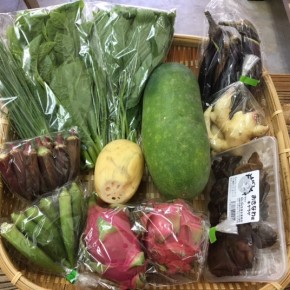 【第56回目】わが家のハルラボ商店『お野菜おまかせBOX』は先週土曜日に発送いたしました。今回の内容は自然栽培の冬瓜・赤オクラ・丸オクラ・なす・れんこん、  無農薬栽培のネギ・新生姜・ツルムラサキ・モロヘイヤ・きくらげ・ドラゴンフルーツ（赤）・（白）、をお送り致しました。次回受付は9/11(mon)・12(tue)・13(wed)お電話にて承ります。☎098-943-9575（詳細はコチラをクリック）