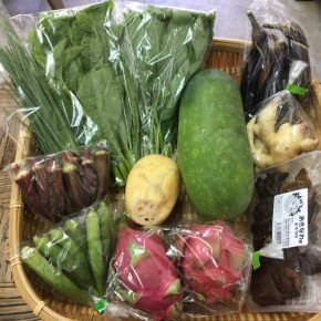 【第57回目】わが家のハルラボ商店『お野菜おまかせBOX』は本日9/11(mon)・12(tue)・13(wed)約受付中！9/16(sat)発送。受付はお電話にて承ります。☎098-943-9575（詳細はコチラをクリック）※写真は前回の野菜BOXです。