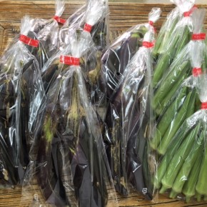 9/8(fri)本日の仕入れです。  うるま市 玉城勉さんの自然栽培のナス・丸オクラ、が入荷しました！