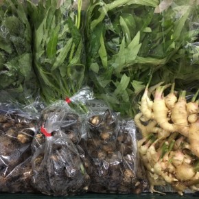 わが家のハルラボ商店です。 ご好評いただいているマサヨさんの無農薬栽培の新生姜、今季初登場の里芋、増量でお買い得なエンサイ・オクラ、も入荷しました！