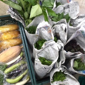 9/19(tue)15時、今帰仁村 片岡農園さんの無農薬栽培の野菜が入荷します！※写真は先週のお野菜です。