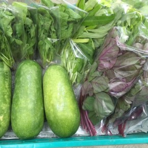 10/19(thu)本日の仕入れです。  糸満市 中村一敬さんの自然栽培のルッコラ・アマランサス・白エンサイ・冬瓜、無農薬栽培のからし菜、が入荷しました！