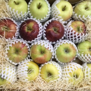 昨年も大好評頂きました山口県産 減農薬リンゴが入荷です！今回は秋映、シナノスイート、シナノゴール、ゴールデンの4種になります。