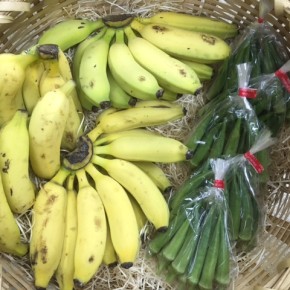 10/13(fri)本日の仕入れです。  うるま市 玉城勉さんの自然栽培の丸オクラ・ブラジル島バナナ、が入荷しました！