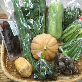 【第60回目】わが家のハルラボ商店『お野菜おまかせBOX』は先週土曜日に発送いたしました。今回の内容は自然栽培のうりずん豆・モロヘイヤ・にら・丸オクラ・島かぼちゃ・れんこん・シークワーサー、  無農薬栽培のサラダヘチマ・ツルムラサキ・里芋・キクラゲ、をお送り致しました。次回受付は10/23(mon)・24(tue)・25(wed)お電話にて承ります。☎098-943-9575（詳細はコチラをクリック）