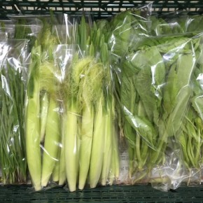 10/26(thu)本日の仕入れです。  糸満市 中村一敬さんの自然栽培のニラ、無農薬栽培のベビーコーン・からし菜、が入荷しました！
