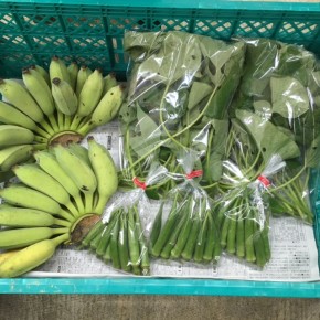 11/13(mon)本日の入荷です。  うるま市 玉城勉さんの自然栽培の銀バナナ・カンダバー・丸オクラが入荷しました！