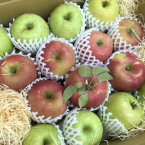 大変お待たせしました！山口県産 減農薬りんご再入荷しました‼︎今回は、ぐんま名月、ふじ、王林になります。