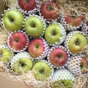 11/9(thu)本日の入荷です。  山口県産 減農薬りんご再入荷しました！今回はふじを中心に、ぐんま名月と、あいかの香の3種です。