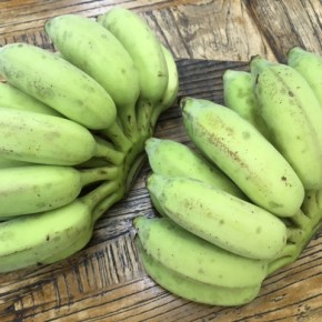 11/4(sat)本日の仕入れです。  うるま市 玉城勉さんの自然栽培の銀バナナ、が入荷しました！