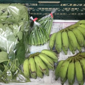 11/6(mon)本日の入荷です。  うるま市 玉城勉さんの自然栽培の銀バナナ・カンダバー・丸オクラ、が入荷しました！