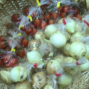 12/15(fri)本日の仕入れです。  うるま市 玉城勉さんの自然栽培の新玉ねぎ・ミニトマトが入荷しました！  ミニトマトは更に苗を増やして行くとの事。来年６月ぐらいまで出せる様にチャレンジしています！！