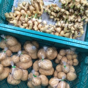 ご好評いただいているマサヨさんの無農薬栽培の新ジャガ・生姜が再入荷しました！