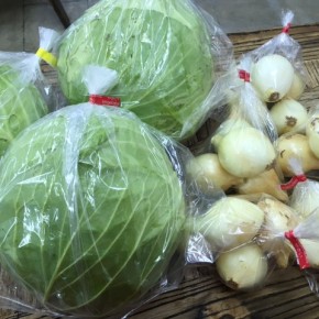 うるま市 玉城勉さんの自然栽培のキャベツが初入荷！ほか新玉ねぎも入荷しました！