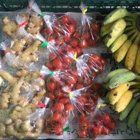 1/22(mon)本日の仕入れです。  うるま市 玉城勉さんの自然栽培のミニトマト・黒人参・新生姜・新玉ねぎ・銀バナナが入荷しました！