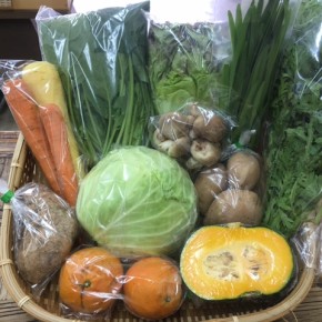 【第69回目】わが家のハルラボ商店『お野菜おまかせBOX』は先週土曜日に発送いたしました。今回の内容は自然栽培のカラフル人参・サニーレタス・ほうれん草・にら、  無農薬栽培のジャガイモ（ニシユタカ）・山芋・きゃべつ・栗カボチャ・春菊・たんかん・生しいたけをお送り致しました。次回受付は3/5(mon)・6(tue)・7(wed)お電話にて承ります。☎098-943-9575（詳細はコチラをクリック）