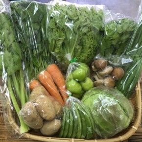 【第71回目】わが家のハルラボ商店『お野菜おまかせBOX』は3/19(mon)・20(tue)予約受付！3/24(sat)発送。受付はお電話にて承ります。☎098-943-9575（詳細はコチラをクリック）※写真は前回の野菜BOXです。
