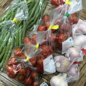 うるま市 玉城勉さんの自然栽培のミニトマト・インゲン・ニンニクが入荷しました。