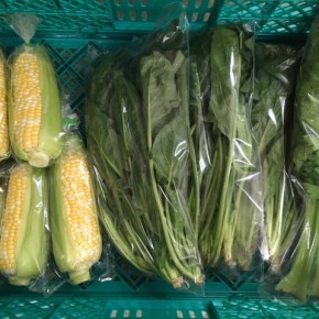 4/14(sat)本日の仕入れです。  糸満市 中村一敬さんの自然栽培のトウモロコシ・ほうれん草・セロリが入荷しました！