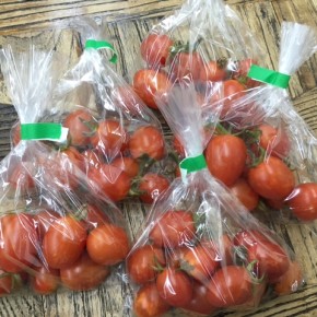 5/2(wed)本日の仕入れです。  うるま市 玉城勉さんの自然栽培のミニトマトが入荷しました！