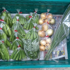 6/8(fri)本日の仕入れです。  北中城村ソルファコミュニティさんの自然栽培の角オクラ・玉ねぎ・うりずん豆・ヨモギ・レモングラスが入荷しました！