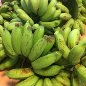 7/9(mon)本日の仕入れです。  うるま市 玉城勉さんの自然栽培のブラジル島バナナが入荷しました！
