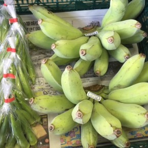 8/10(fri)本日の仕入れです。  うるま市 玉城勉さんの自然栽培の銀バナナ・丸オクラが入荷しました！