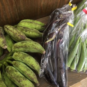 うるま市 玉城勉さんの自然栽培の銀バナナ・なす・丸オクラが入荷しました！