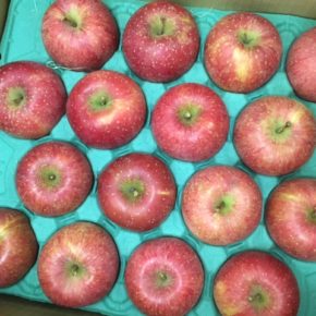 ご好評いただいております、山口県産 減農薬のリンゴが再入荷しました！