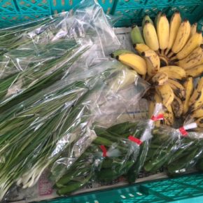 うるま市 玉城勉さんの自然栽培の銀バナナ・丸オクラ、北中城村ソルファコミュニティさんの自然栽培のネギが入荷しました！