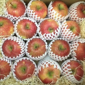 ご好評いただいている山口県産 減農薬のリンゴが入荷しました！