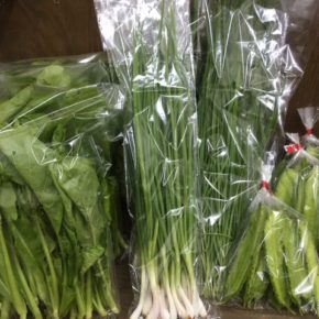 11/26(mon)本日の仕入れです。  北中城村ソルファコミュニティさんの自然栽培のニラ・ねぎ・うりずん豆・小松菜が入荷しました！