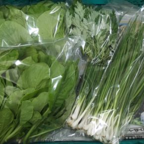 11/24(sat)本日の仕入れです。  北中城村ソルファコミュニティさんの自然栽培の小松菜・よもぎ・ネギが入荷しました！