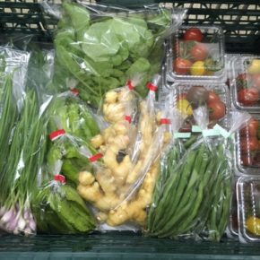 うるま市 玉城勉さん、北中城村 ソルファコミュニティ、八重瀬町 くりきんふぁーむの自然栽培の野菜が入荷しました！