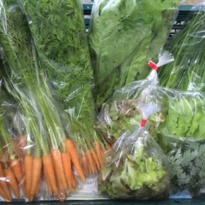北中城村 ソルファコミュニティさんの自然栽培の野菜が入荷しました！