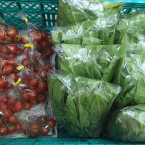 うるま市 玉城勉さんの自然栽培のミニトマト・中玉トマト、八重瀬町 島袋悟さんの自然栽培のほうれん草が入荷しました！