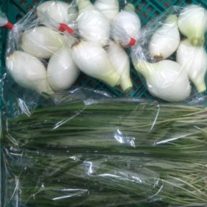 北中城村 ソルファコミュニティさんの自然栽培の野菜が入荷しました！
