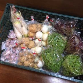 うるま市 玉城勉さん、北中城村 ソルファコミュニティさん、八重瀬町 島袋悟さんの自然栽培の野菜が入荷しました！