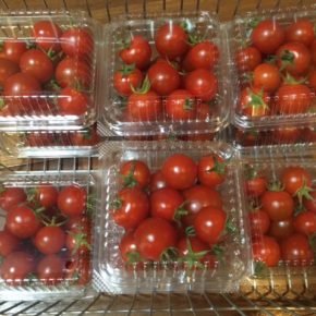 八重瀬町 久手堅憲也さんの無農薬栽培のミニトマトが入荷しました！