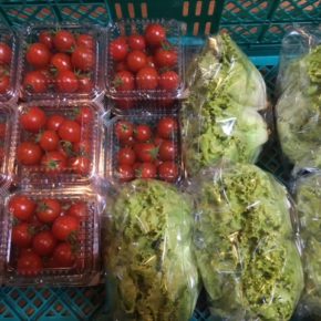 八重瀬町 島袋悟さん、久手堅憲也さんの自然栽培・無農薬栽培の野菜が入荷しました！