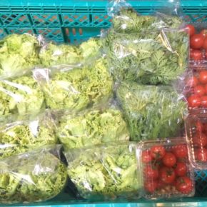八重瀬町 島袋悟さん、久手堅憲也さんの自然栽培・無農薬栽培の野菜が入荷しました！