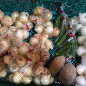うるま市 玉城勉さん、北中城村 ソルファコミュニティさんの自然栽培の野菜が入荷しました！