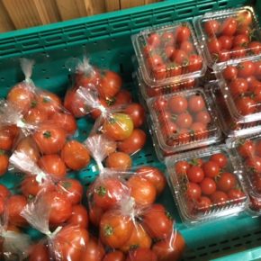 八重瀬町 久手堅憲也さんの無農薬栽培のミニトマト・中玉トマトが入荷しました！